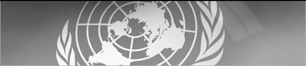 Проект статей об ответственности оон