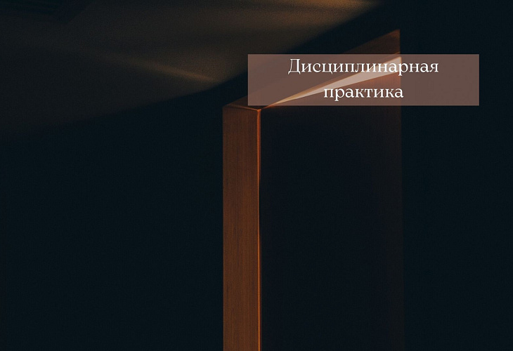 Совет прекратил статус адвоката за игнорирование фундаментальных профессиональных правил и требований и отсутствие необходимых для осуществления адвокатской деятельности профессиональных и этических качеств