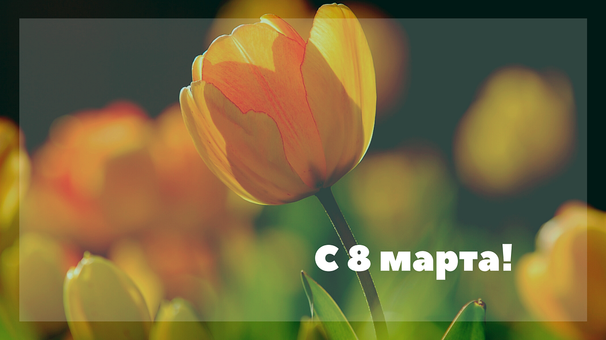 Поздравление с 8 марта!