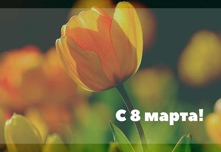 Поздравление с 8 марта! Поздравление с 8 марта!